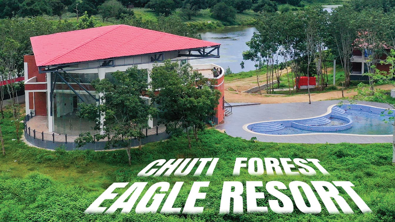 Chuti Forest Eagle Resort — Forest View